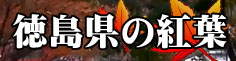 徳島の紅葉マップ